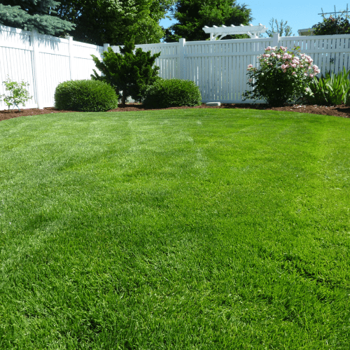 Grass Installation